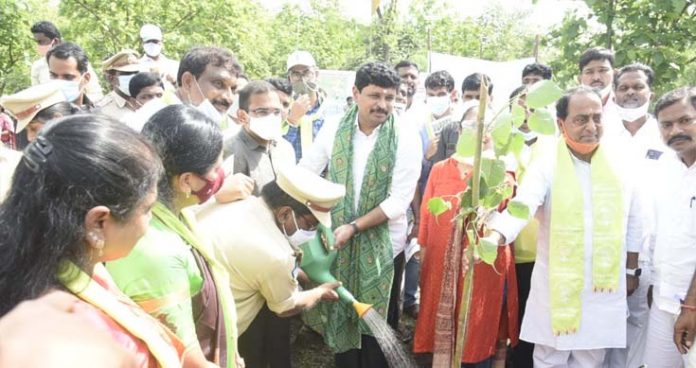 1 million saplings planted in one hour indrakaran reddy