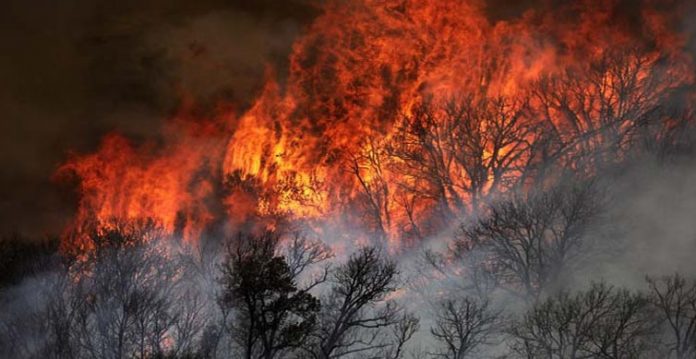 californian wildfires surpass history; emergencies issued in west us