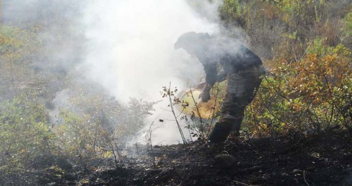 cyprus requests help from israel, european union to combat huge fire