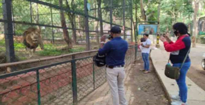 nehru zoological park reopens after 70 days