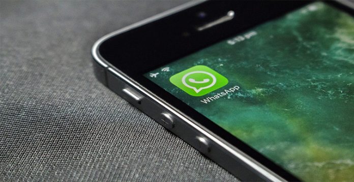 soon transfer chat history from ios to android on whatsapp report