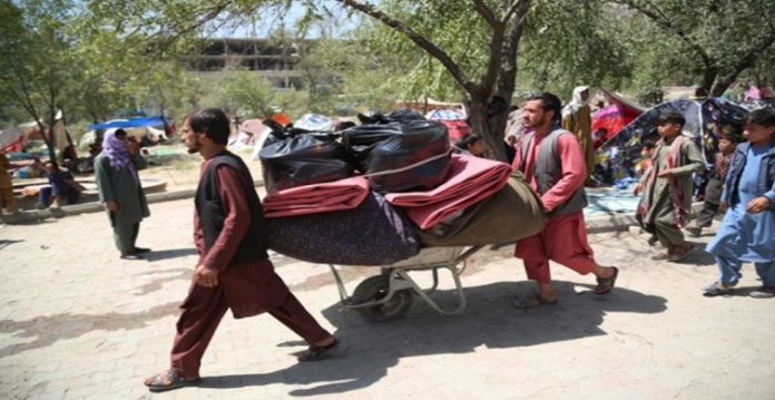 500,000 Afghans may leave in next 4 months: UNHCR
