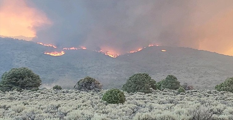 california's wildfire grows to become largest this year