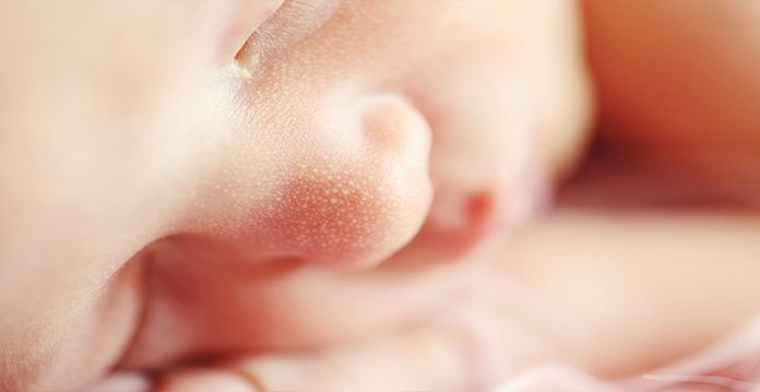 covid not linked to increased preterm births, stillbirths study