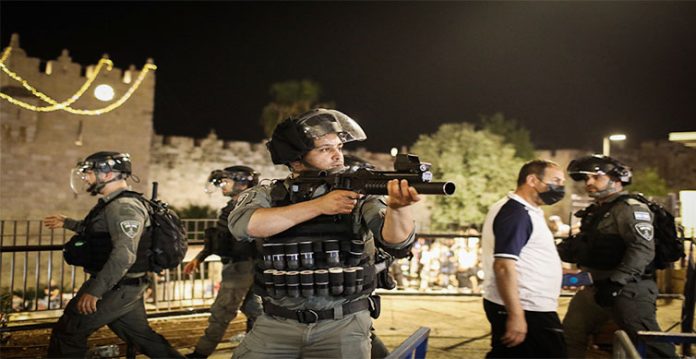israel launches plan to fight crime in arab society