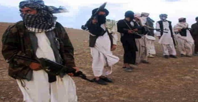our forces will not enter kabul city, awaiting peaceful transition taliban