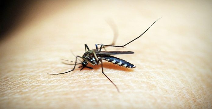 158 dengue cases reported in Delhi during Jan-Sep 2021