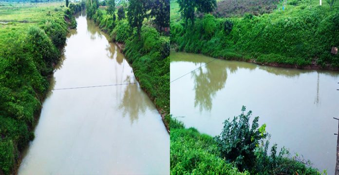 Following copious rains, Himayath and Osman Sagar getting good inflows