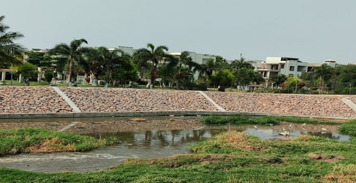 Malka Cheruvu Lake at Upperpally bedecked with vegetation