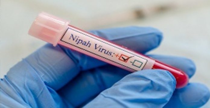 Nipah virus with upto 90% fatality returns to Kerala; Symptoms & causes inside