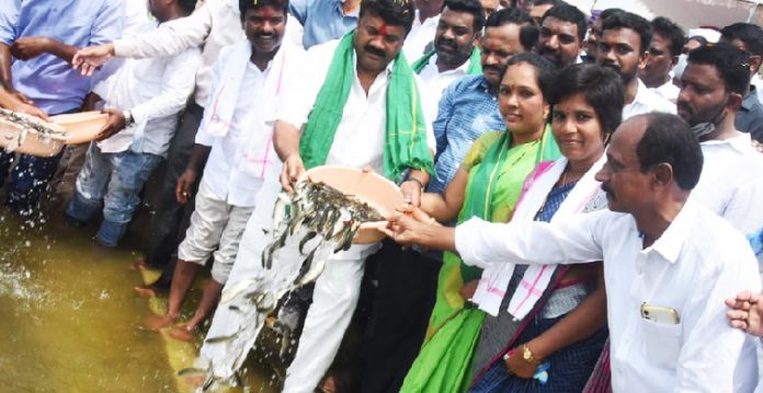 Srinivas Yadav drops fish at Siricilla district