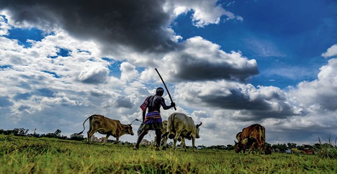 UP to promote digital agriculture to improve farmers' income
