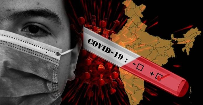 india reports 12,830 new covid cases, 446 deaths