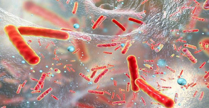 Scientists Find New Chemicals To Kill MRSA Superbug