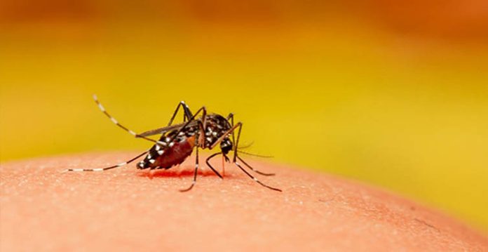 UP On High Alert; Man Tests Positive For Zika Virus