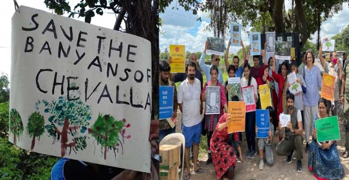 voices echoed again to “save the banyans trees of chevella”