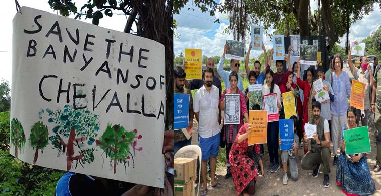 voices echoed again to “save the banyans trees of chevella”