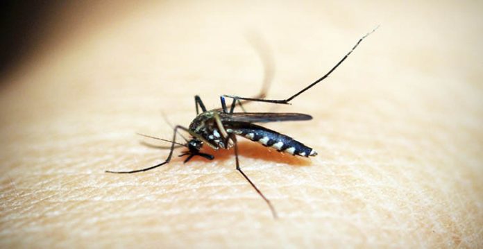 zika virus detected in kanpur, centre sends high level team