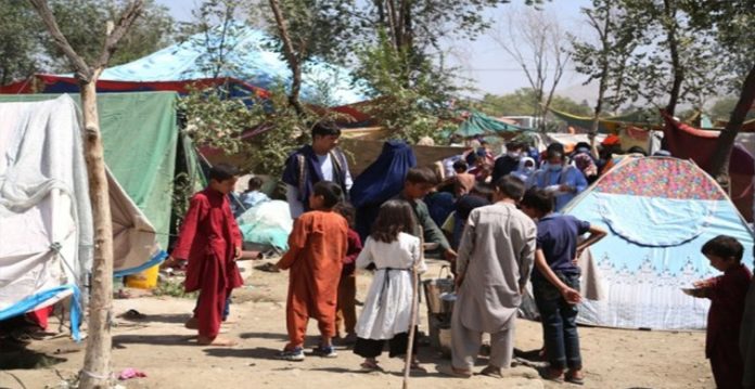 Afghan Interim Government Leave Migrants Stranded, Deported