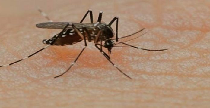 Dengue cases skyrocketing in Delhi; 1,171 cases in just 6 days