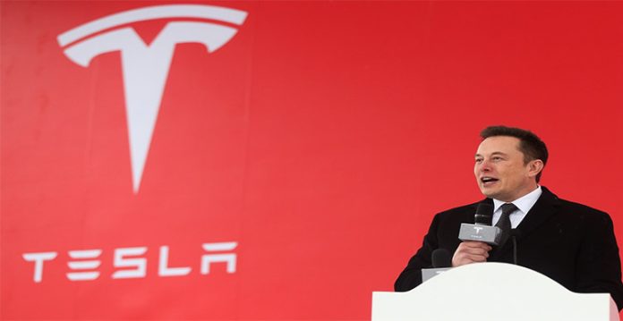 musk says tesla has not signed deal with hertz