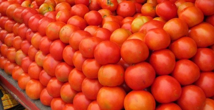 tomato prices may stay high for another 2 months crisil