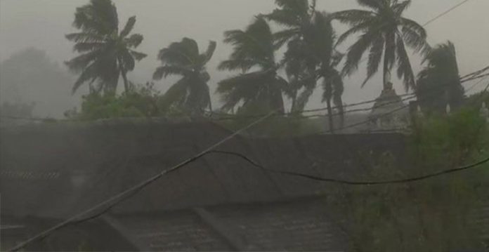 West Bengal To Create Natural Defence Mechanism Against Deadly Cyclones