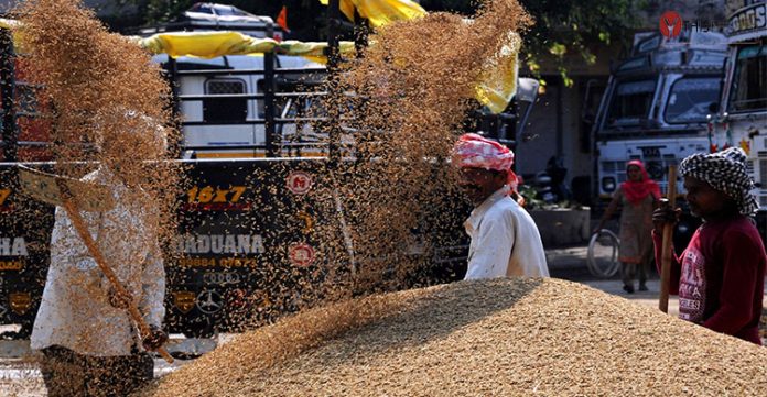 Centre to procure 6 lakh mt more paddy from Telangana