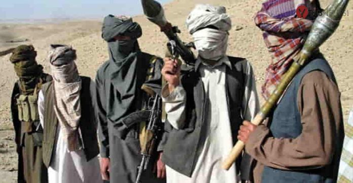 TTP Accuses Pak Government Of Not Honoring Previous Decisions; Resumes Attacks