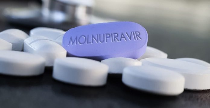 molnupiravir best bet in fight against covid experts