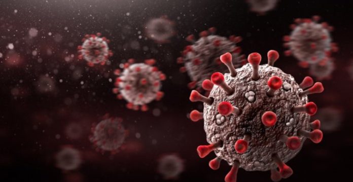 coronavirus