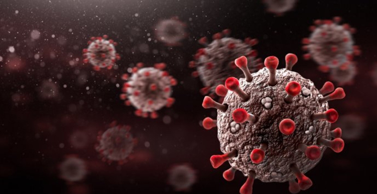 coronavirus