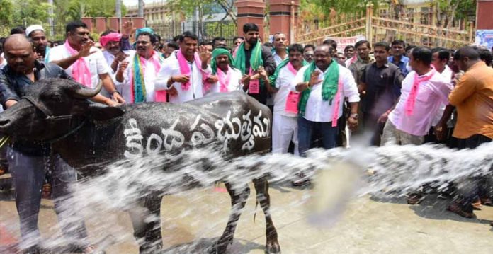 TRS on Paddy issue