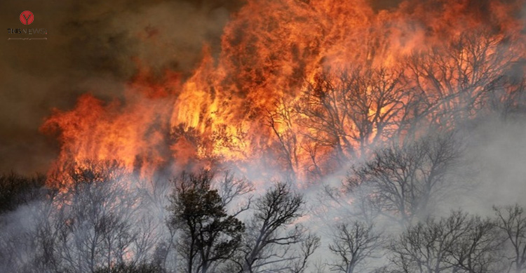 US Wildfires
