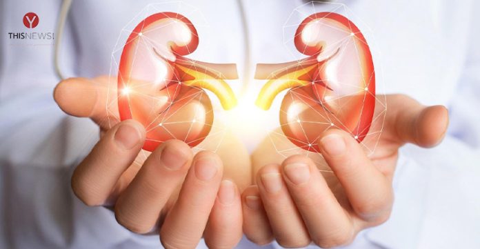 scientists identify new liver and kidney disease