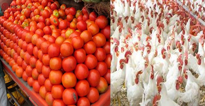 Tomato and chicken