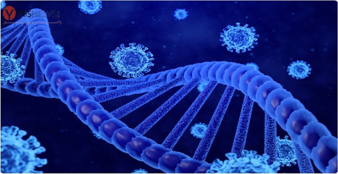 DNA