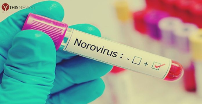 scientists find norovirus, other gut viruses can spread through saliva