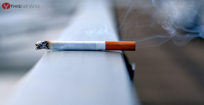 tobacco industry worsening global pollution, deforestation expert