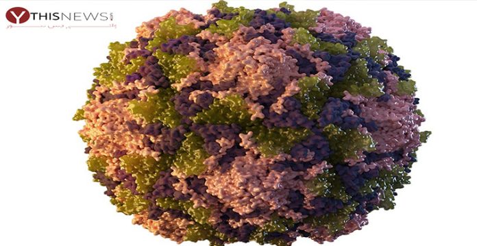 poliovirus