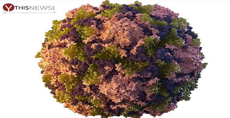 poliovirus