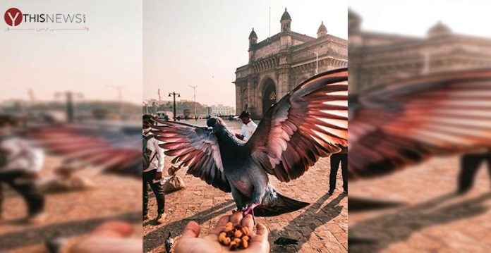 Mumbai Delhi