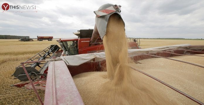 ukraine wheat exports