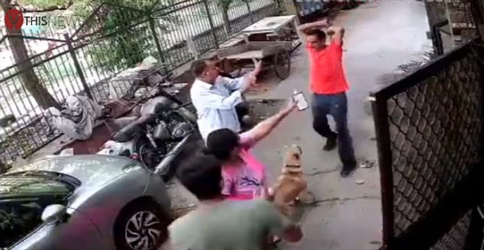 man attacking dog