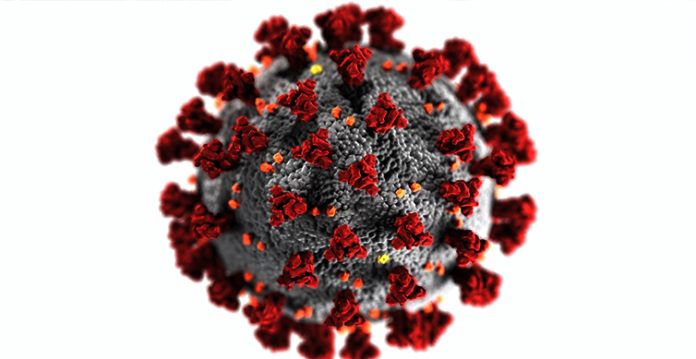delta variant of coronavirus could evade immune system, finds study