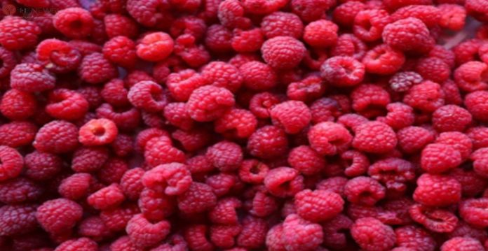 frozen berries