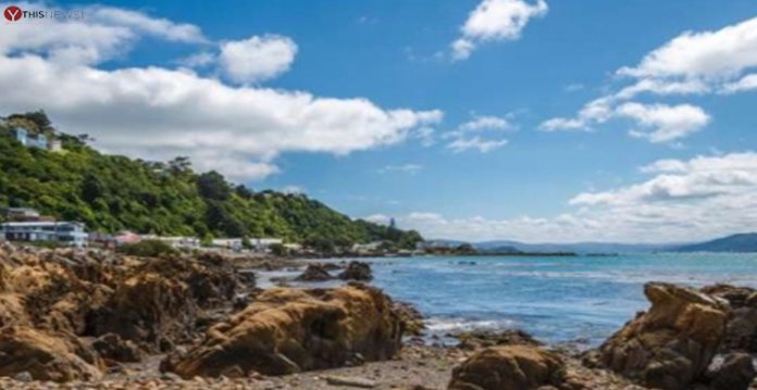 New Zealand