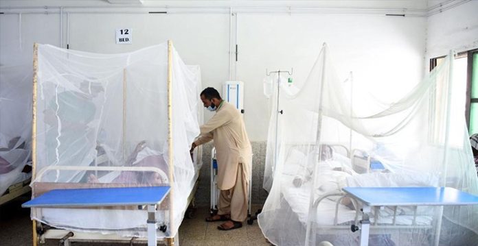 high level central team sent to up to assess dengue situation