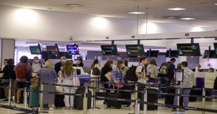 new zealand reopens key visa categories to attract talent