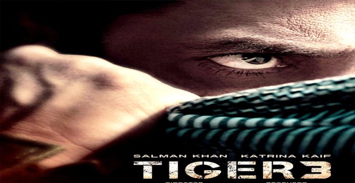 salman, katrina's 'tiger 3' now pushed to diwali 2023 release